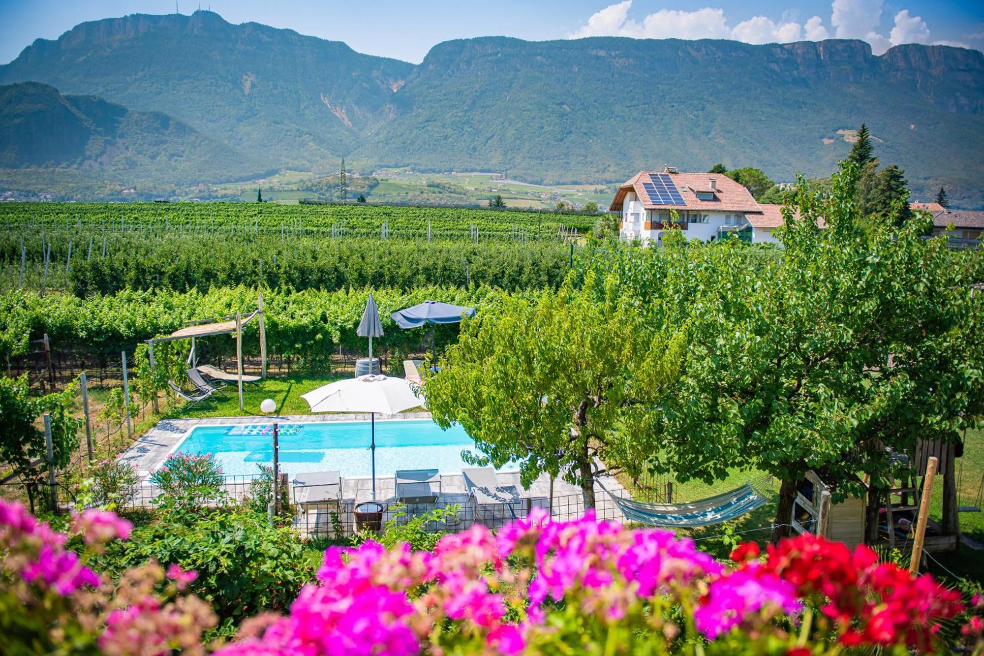 Appartamento Lochererhof Appiano Sulla Strada Del Vino Esterno foto