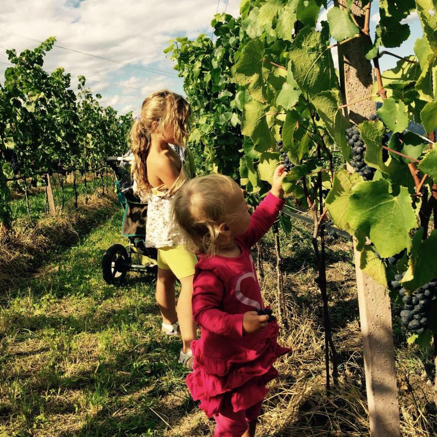 Appartamento Lochererhof Appiano Sulla Strada Del Vino Esterno foto