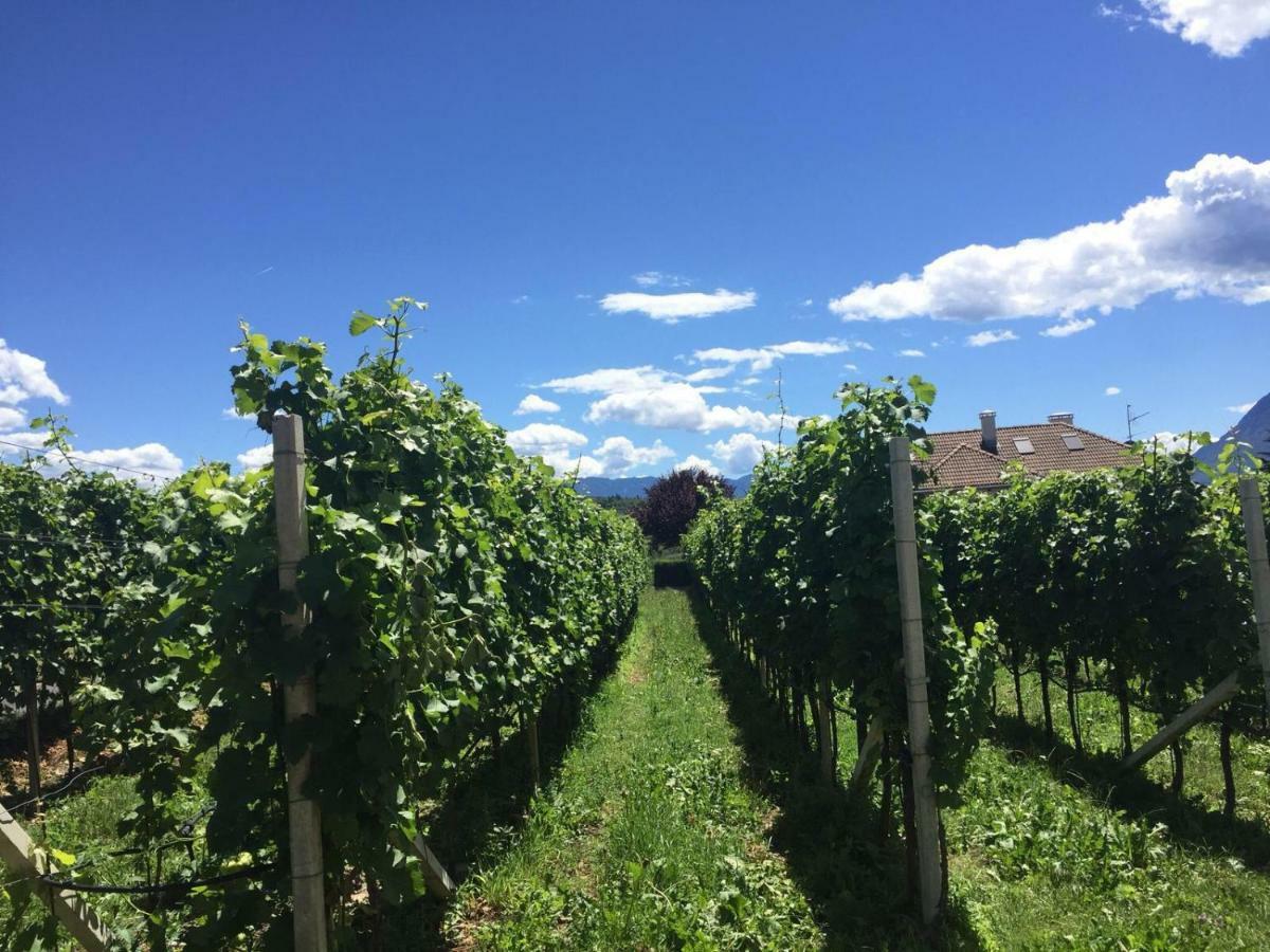 Appartamento Lochererhof Appiano Sulla Strada Del Vino Esterno foto