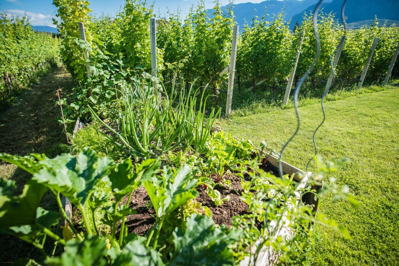 Appartamento Lochererhof Appiano Sulla Strada Del Vino Esterno foto